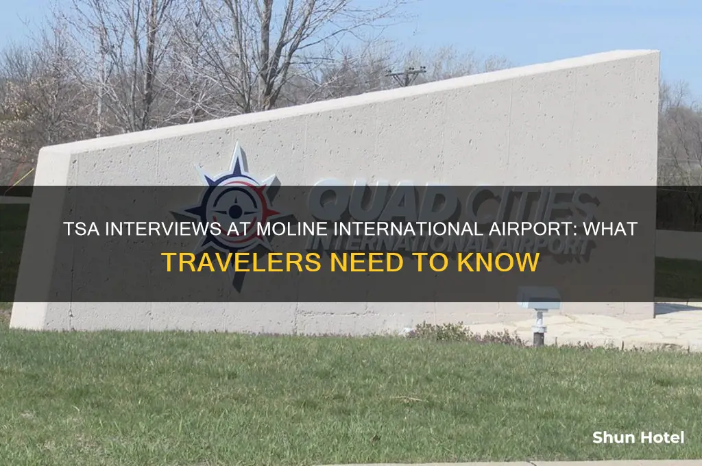 is there tsa interviews at moline international airport