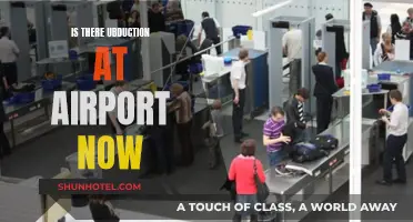 Airport Abduction: Is It Still a Concern?