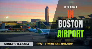 Boston Airport: Uber Services Available?