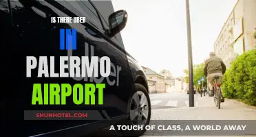 Palermo Airport: Uber Services and Alternatives