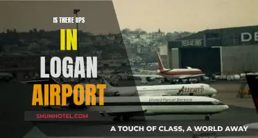 Logan Airport: UPS Services Available?