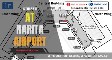 Narita Airport: What's the Deal with Wi-Fi?