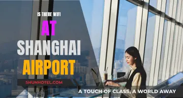 Shanghai Airport: Free, Fast, and Reliable Wi-Fi for Travelers