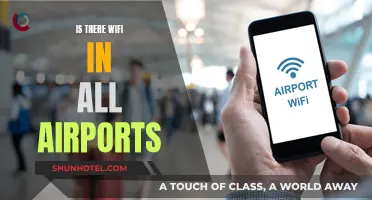 Airports and Wi-Fi: Universal Access?