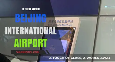 Stay Connected: Beijing International Airport's Free WiFi Availability Guide