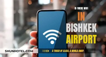 Bishkek Airport: Free, Fast, and Reliable Wi-Fi for Travelers
