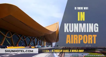 Traveler's Guide: WiFi Access at Kunming Airport