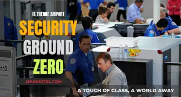 Airport Security: Ground Zero for Safety?