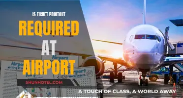 Airports and Boarding: Printouts or Digital Tickets?