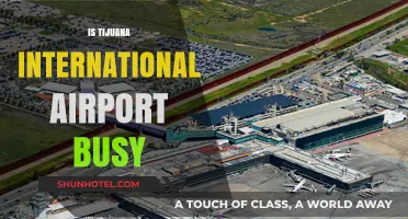 Is Tijuana International Airport Busy? Exploring Passenger Traffic and Trends