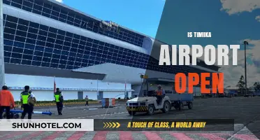 Is Timika Airport Open? Current Status and Travel Updates