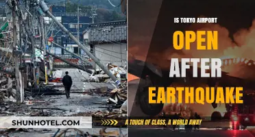 Tokyo Airport Operations Post-Earthquake: Current Status and Updates