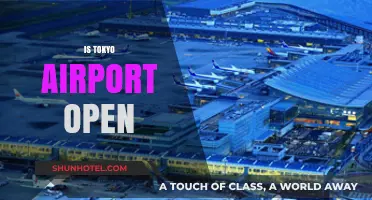 Is Tokyo Airport Open? Current Status and Travel Updates