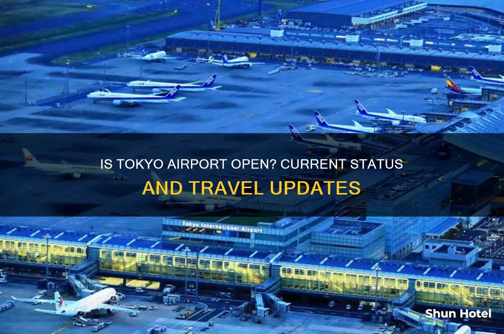 is tokyo airport open