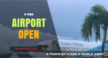 Is Tonga Airport Open? Current Status and Travel Updates