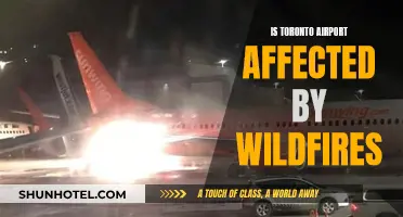 Toronto Airport: Wildfire Impact and Safety Measures