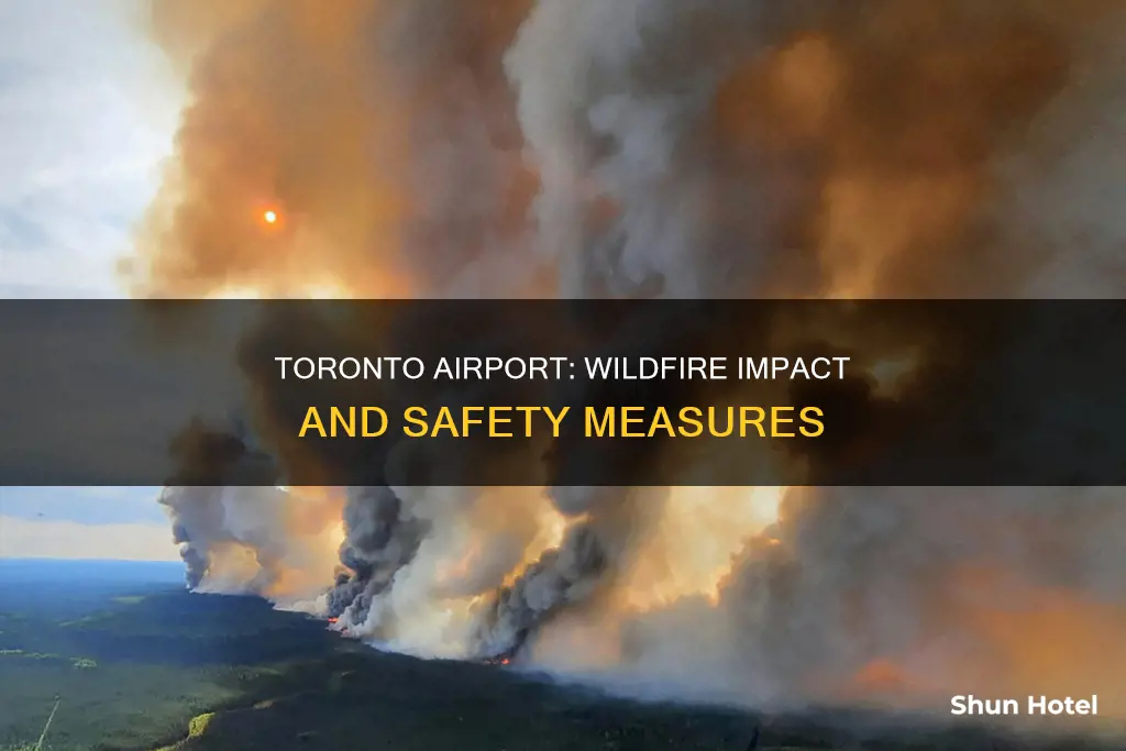 is toronto airport affected by wildfires