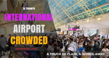 Is Toronto International Airport Crowded? A Traveler's Experience and Tips