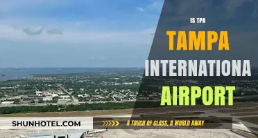 Is Tampa International Airport (TPA) the Right Hub for Your Travel?