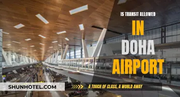 Transit Travails: Navigating Doha Airport's Rules and Regulations