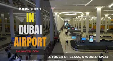 Transit in Dubai Airport: What Are the Rules?