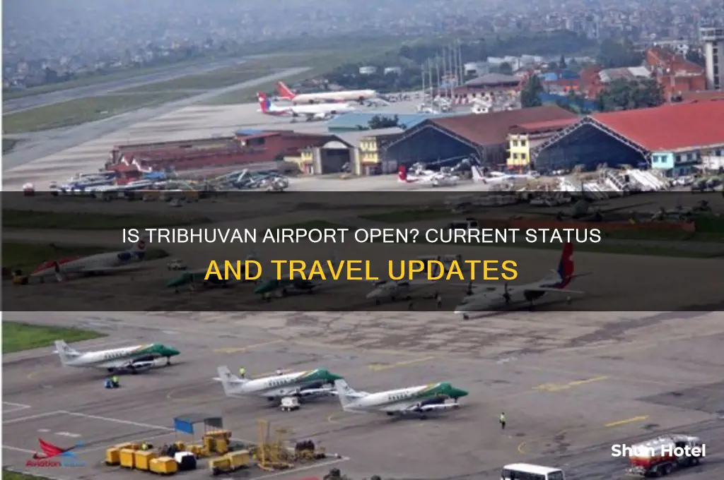 is tribhuvan airport open