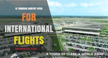 Trinidad Airport International Flights: Current Status and Travel Updates