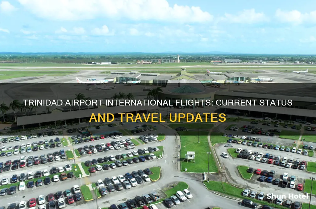 is trinidad airport open for international flights