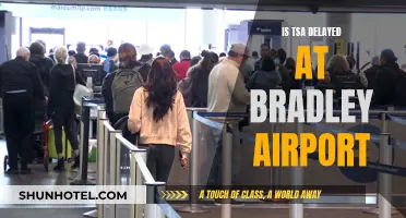 TSA Delays at Bradley Airport: What You Need to Know