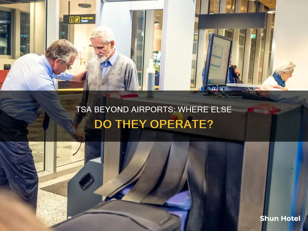 is tsa only in the airport