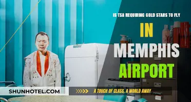 TSA Gold Star Requirement for Memphis Airport Flights: Fact or Fiction?