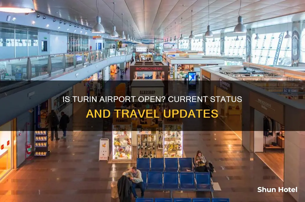 is turin airport open