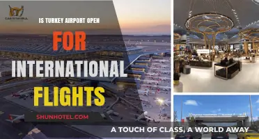 Turkey Airports Operational: International Flights Resuming Post-Pandemic Restrictions