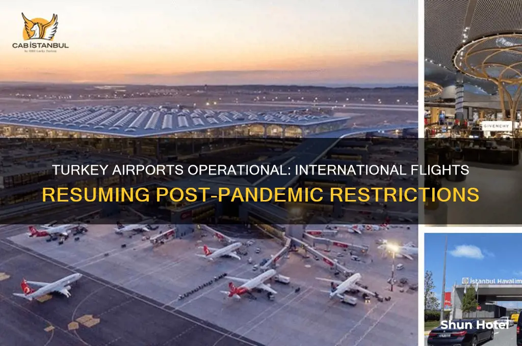 is turkey airport open for international flights