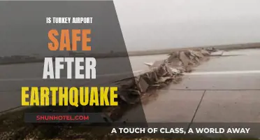 Turkey Airports: Safe or Not After Earthquake?