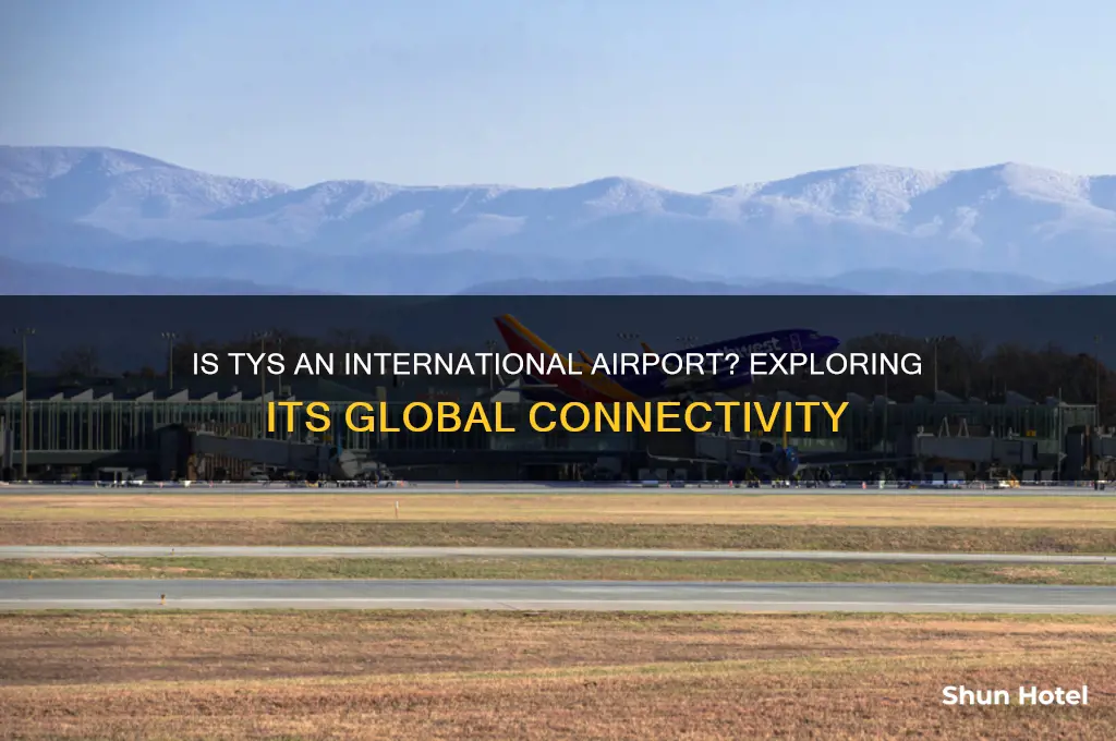 is tys an international airport