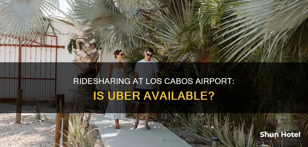 is uber available at sjd airport