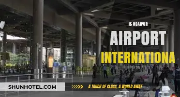 Is Udaipur Airport International? Exploring Its Status and Facilities