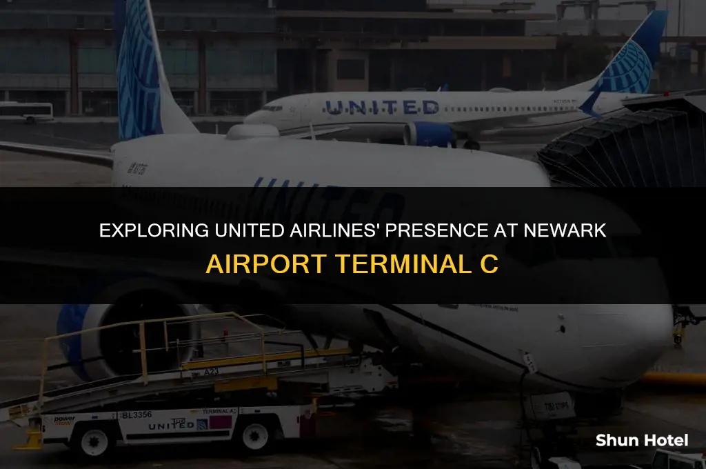 is united airlines at newark airport terminal c