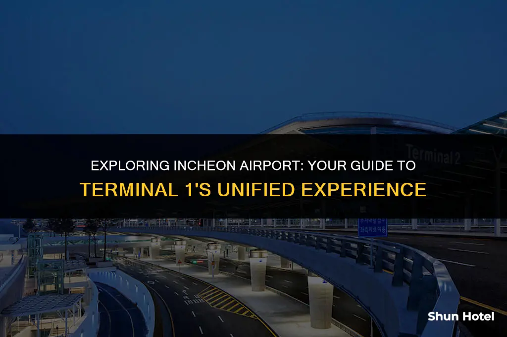 is united at terminal 1 at incheon airport