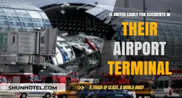 Navigating Liability: Are Airports Responsible for Terminal Accidents?