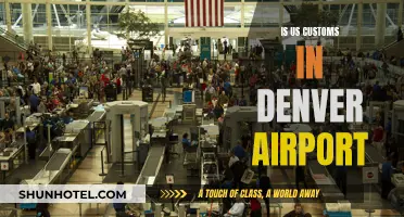Denver Airport: US Customs Presence and Procedures