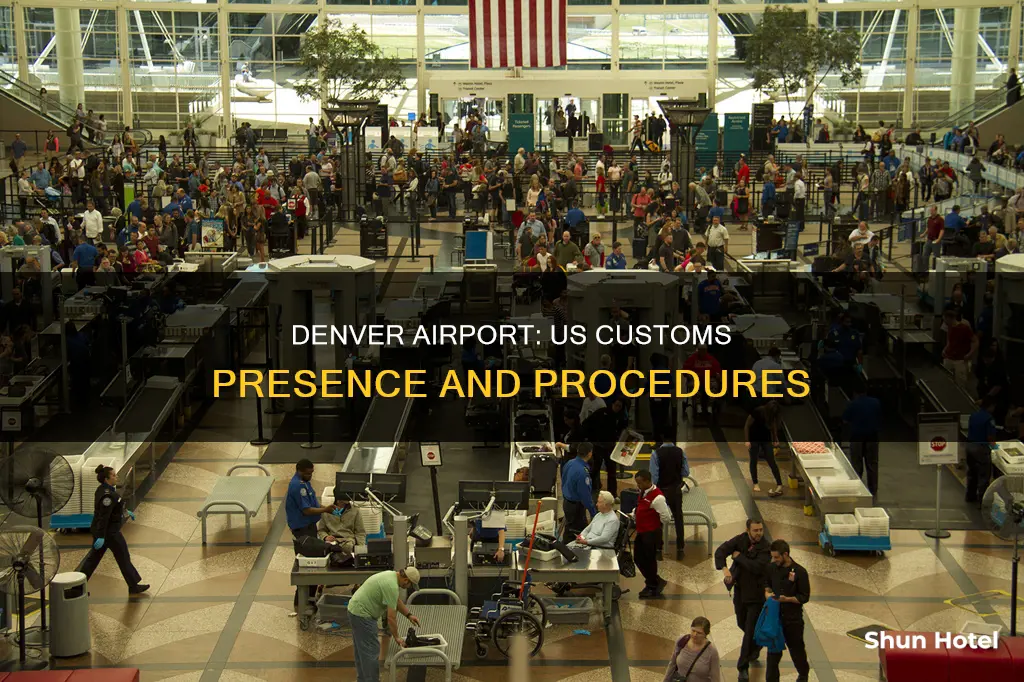 is us customs in denver airport