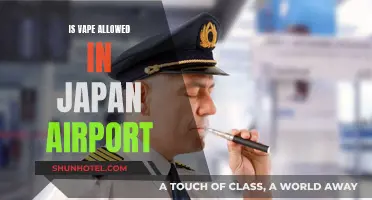 Vaping in Japan: Airport Rules and Regulations