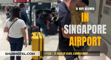 Vaping in Singapore Airport: What's the Rule?