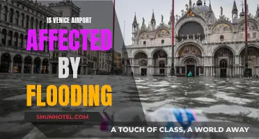 Venice Airport: Flooding Impacts and Adaptations