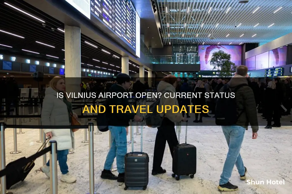 is vilnius airport open