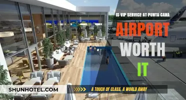 VIP Service: A Stress-Free Punta Cana Airport Experience?