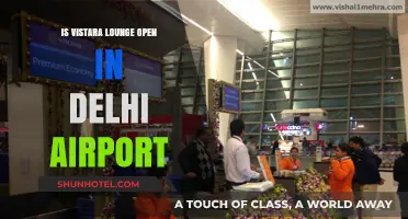 Is Vistara Lounge Open at Delhi Airport? Latest Updates & Access Guide