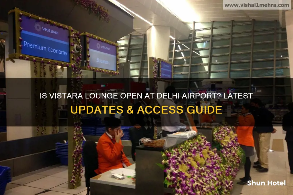 is vistara lounge open in delhi airport